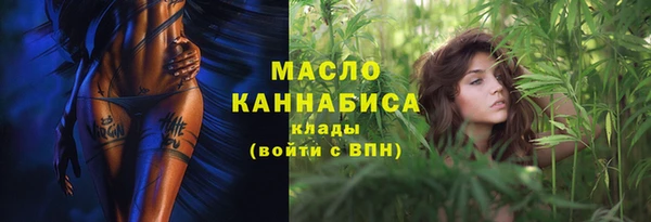 шишки Лабытнанги