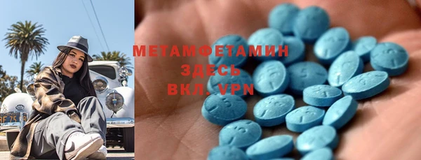 шишки Лабытнанги