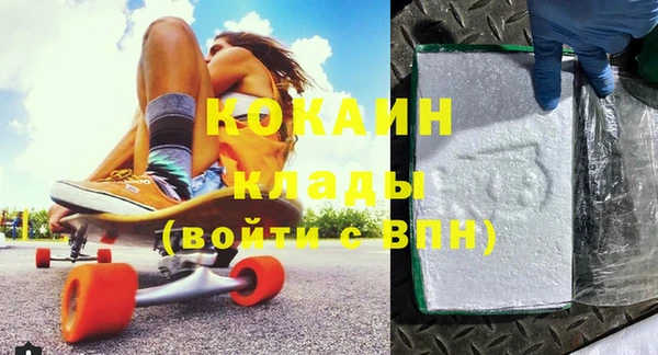 шишки Лабытнанги
