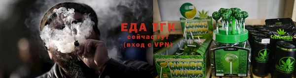 шишки Лабытнанги