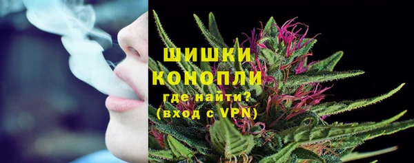 spice Липки
