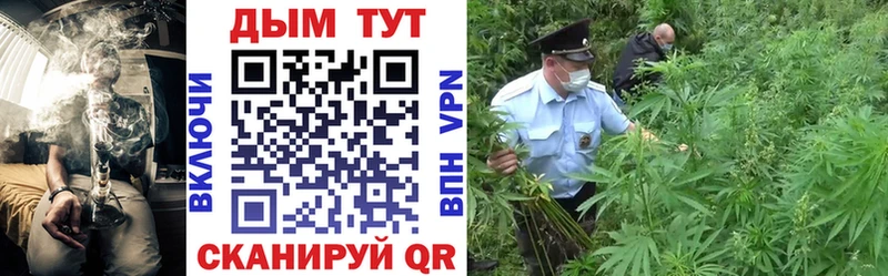 Каннабис индика  Купить  Мышкин 